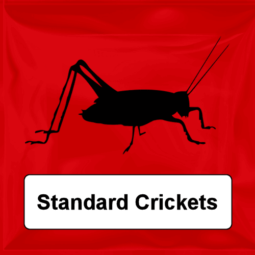 Live Crickets For Sale Buy Quality Live Feeder Crickets Online